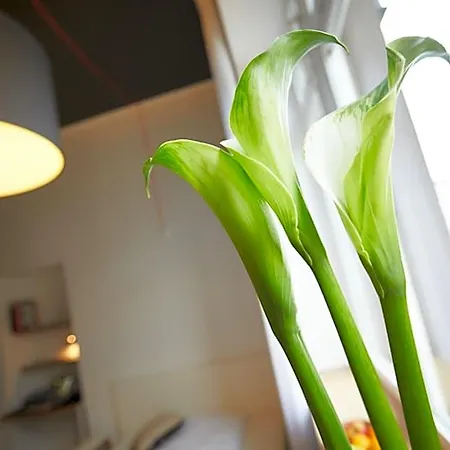 Tu-tu Hotel apartamentowy